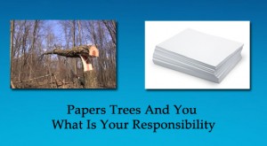papers_trees_and_you_what_is_your_responsibility