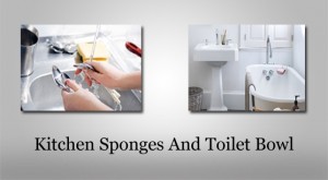 kitchen_sponges_and_toilet_bowl