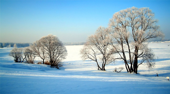 Winter place